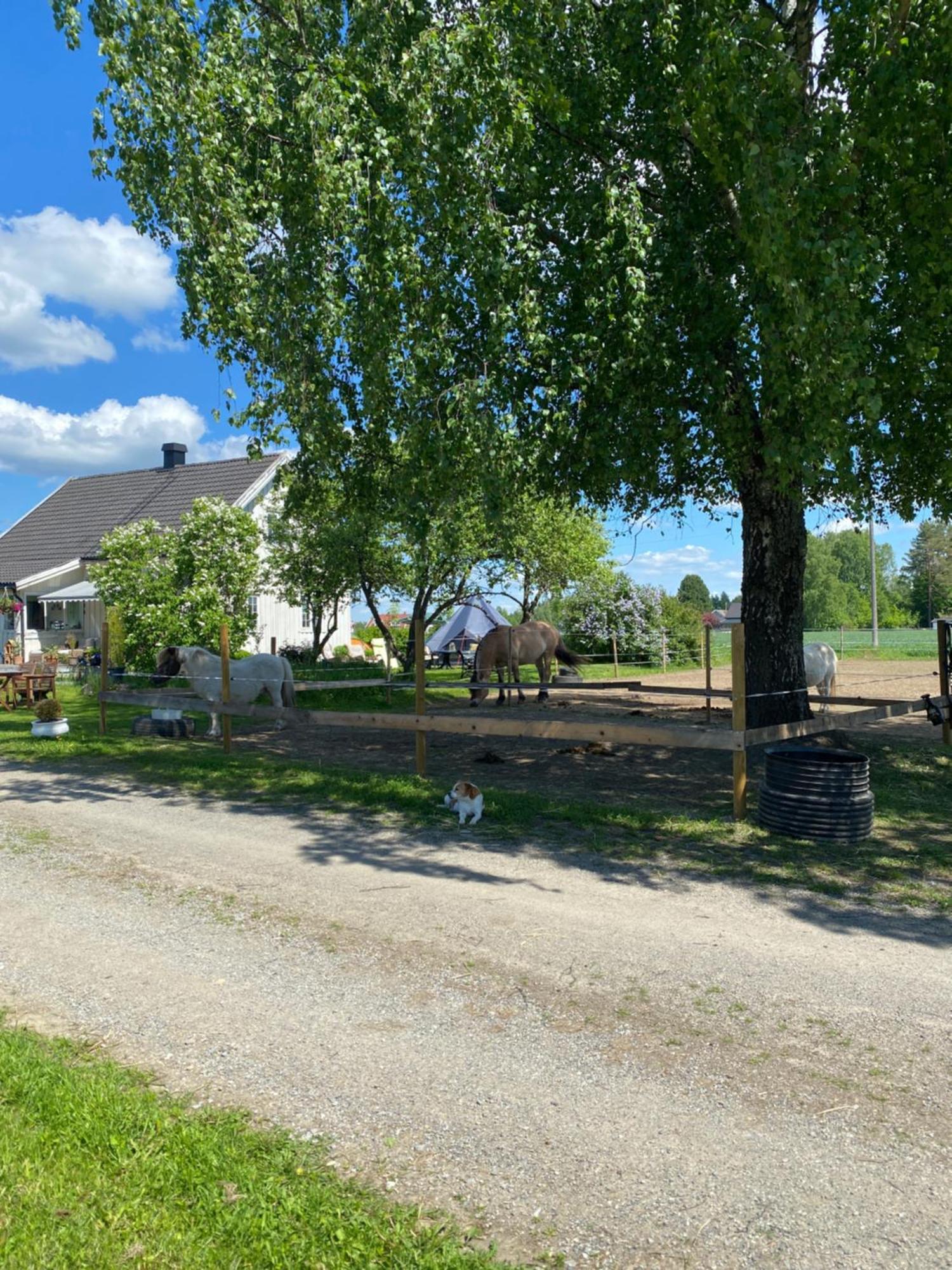 Sundby Fjordhestgard Villa Garder Eksteriør bilde